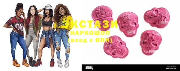 стаф Арсеньев