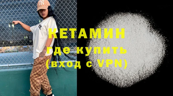 хмурый Аркадак