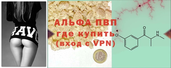 хмурый Аркадак