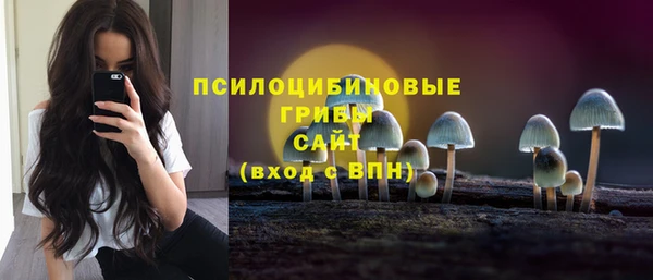 хмурый Аркадак