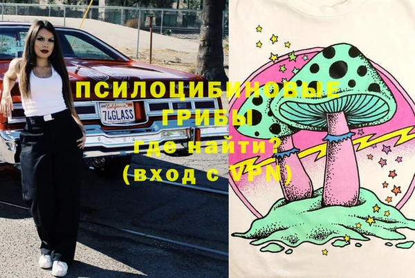 стаф Арсеньев