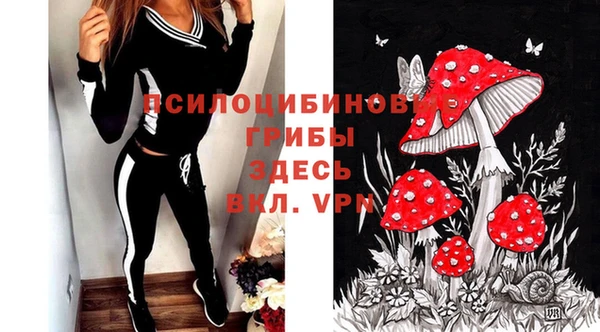 стаф Арсеньев