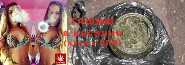 хмурый Аркадак