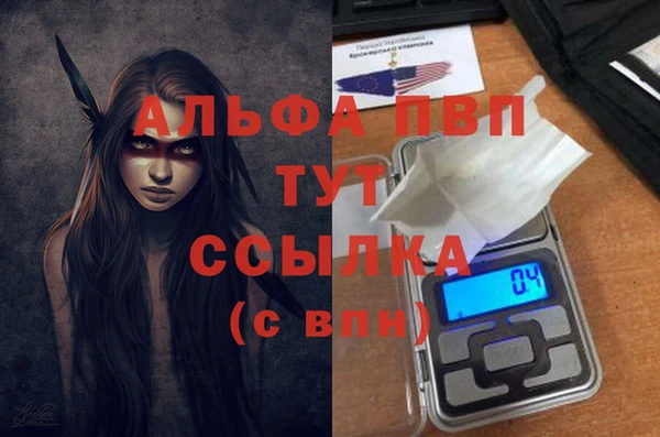 стаф Арсеньев