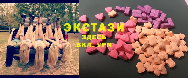 стаф Арсеньев