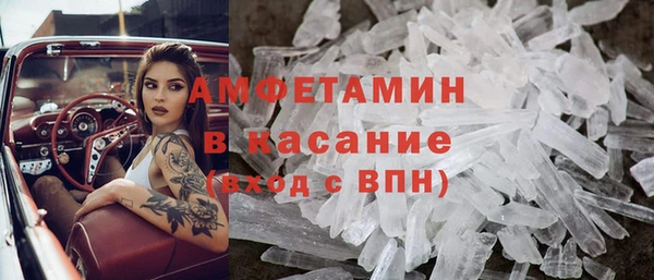 хмурый Аркадак