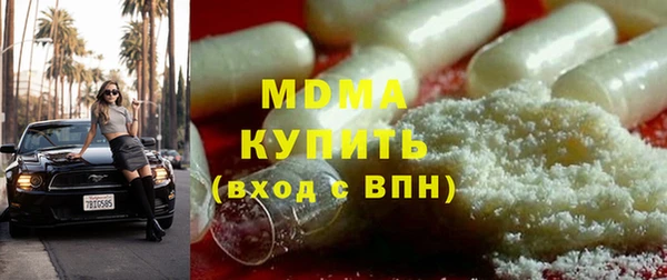 хмурый Аркадак