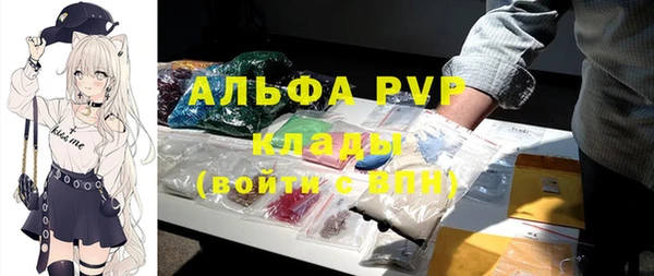 стаф Арсеньев