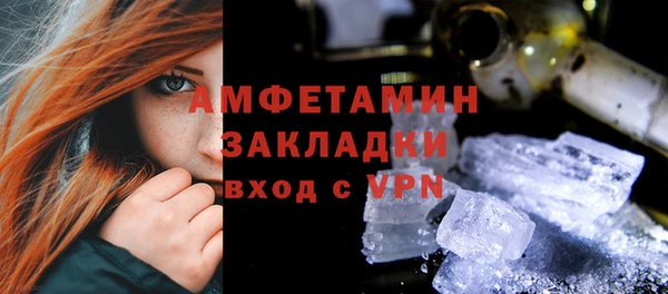 хмурый Аркадак