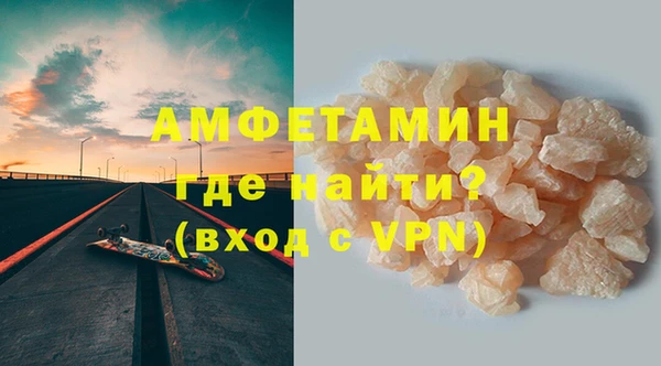 хмурый Аркадак