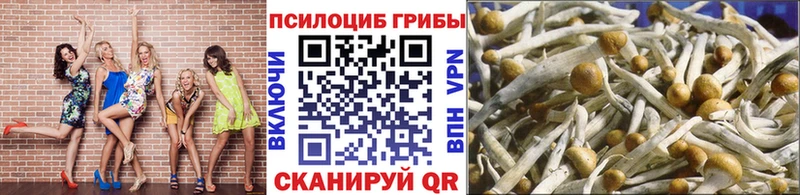 Псилоцибиновые грибы прущие грибы  где можно купить наркотик  Аша 
