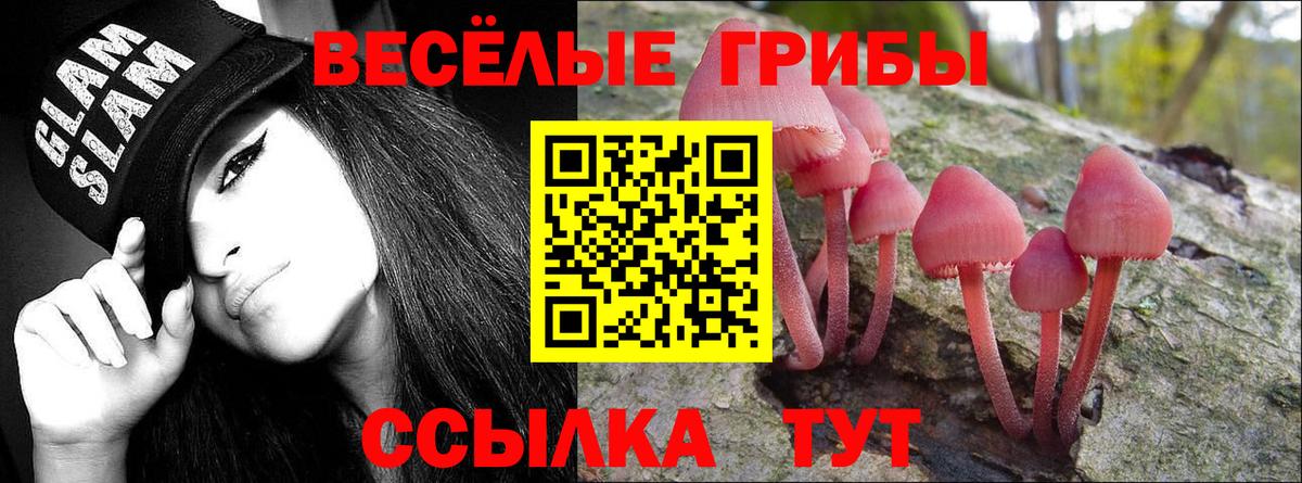 Псилоцибиновые грибы GOLDEN TEACHER  Вход с VPN  цены наркотик  Галлюциногенные грибы мицелий  Аша 