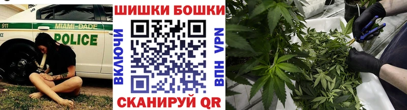купить наркотик  Аша  Канабис OG Kush 